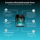 Creatina Monohidratada - 300 g